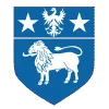 logo carré rillieux-la-pape